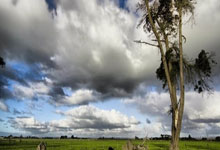 2-1！德丙鱼腩队创奇迹：逆转德甲冠军首进决赛 球迷冲入球场庆祝.