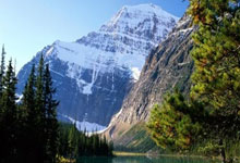 亚博体育官网：上港绝平西海岸的球存在争议？VAR直接给出答案，主裁吹罚有效.