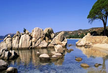 亚博体育官网：看上去很“开心”，挪超一门将当选全场最佳后获赠4盘鸡蛋.